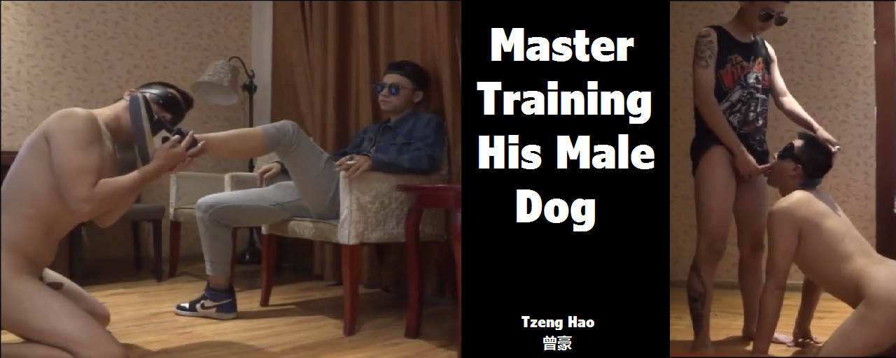 Master Training His Male Dog
