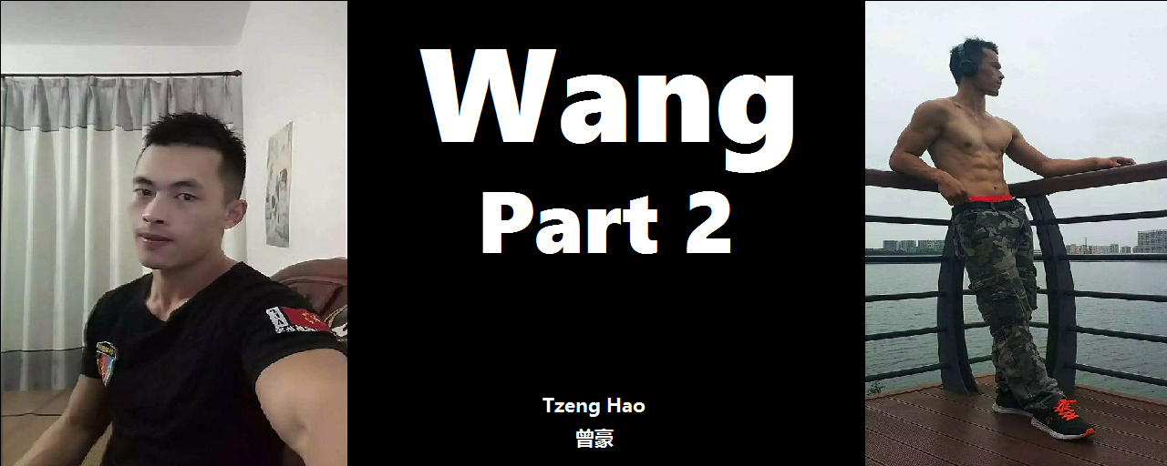 Wang Part 2